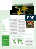 Revista Familia Solanacea