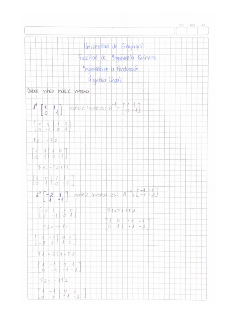 Práctica - Matriz Inversa | PDF