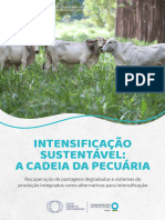 Perspectivas de Gênero para Uma Produção Sustentável No Matopiba