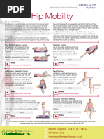 Hip Mobility Exercises