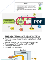 4 The Reactions of Respiration Jo 2024