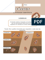 FÓSSEIS