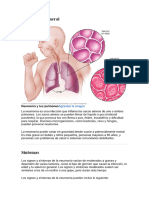 NEUMONIA