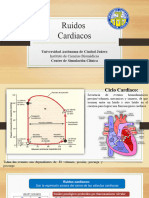 Ruidos Cardiacos