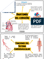 Mapas Ekg