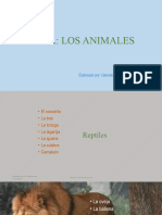 Tema Los Animales
