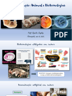 UC - Reprodução Animal e Biotecnologias: Prof Jaqueline Seugling. Florianópolis, Maio de 2023