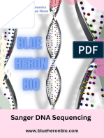 Sanger Dna Sequencing