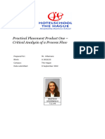 Beatrice Stefanescu - Critical Analysis PP Product 1 
