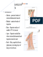 Head & Neck-Posterior Triangle of Neck