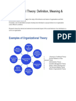 Organizational Theory in Internet