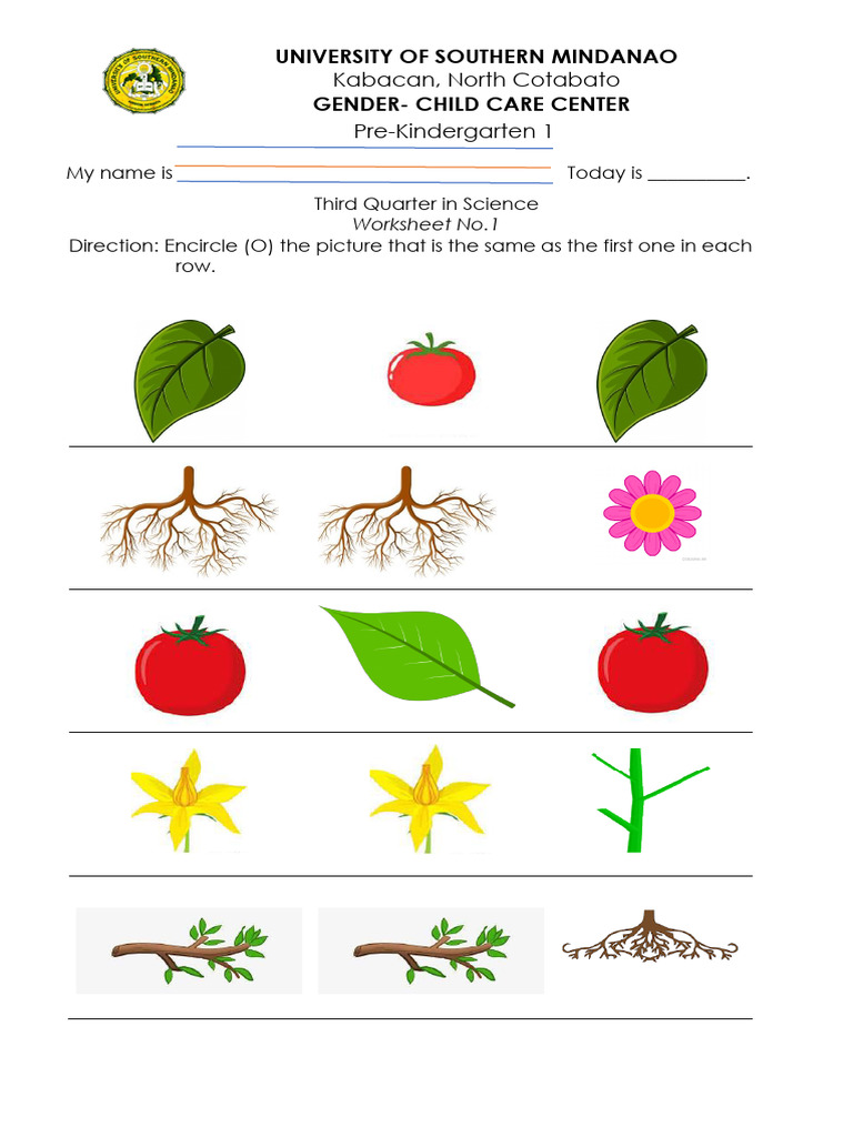 FREE PRE KINDERGARTEN WORKSHEETS PDF visual data 6