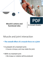 Muscle Actions
