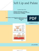 Cleft Lip and Palate