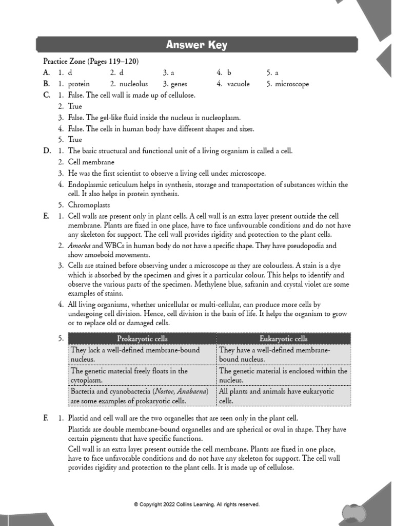 Term 1 - Grade 8 Science CH 7 Cell Structure and Function | PDF | Cell ...