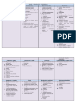 5 - Panel - de - Capacidades - y - Valores - Integrado