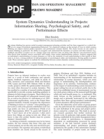 System Dynamics Understanding in Project