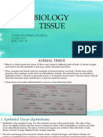 Animal Tissue PPT by Kanishka