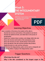 The Integumentary System (STUDENT's COPY)