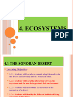 Chapter 4 - Ecosystems
