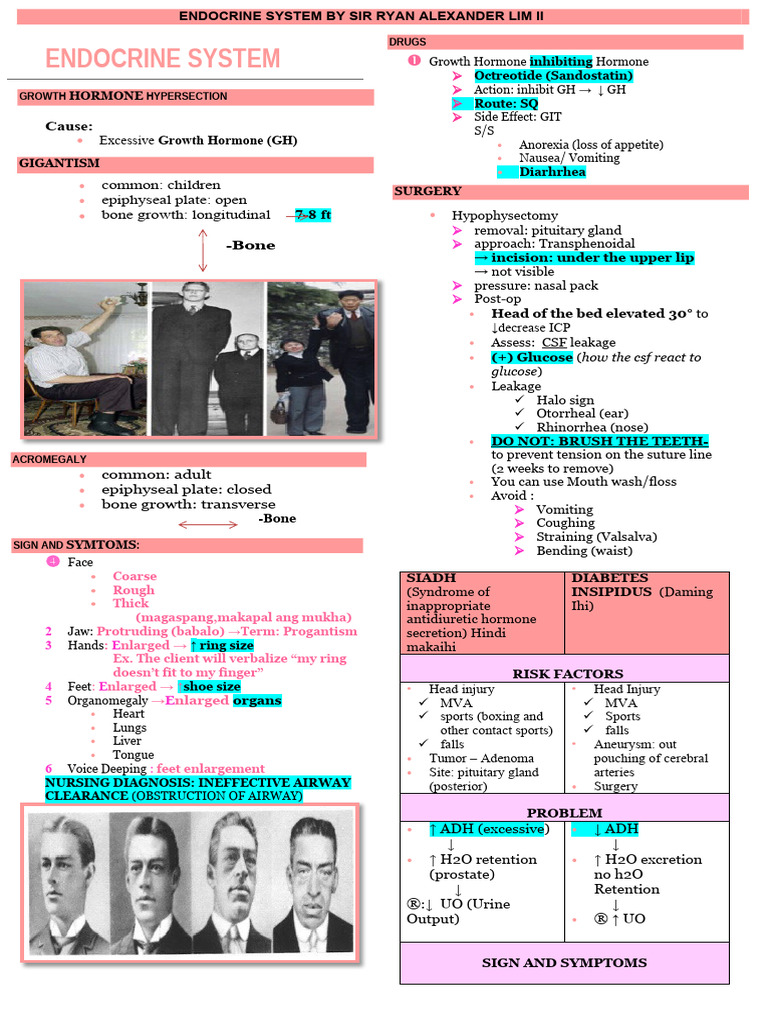 Endocrine System Pdf Endocrinology Medical Specialties