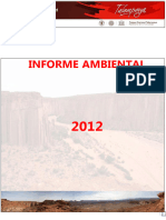Informe Ambiental 2012