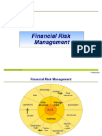 Presentation Financial Risk Management