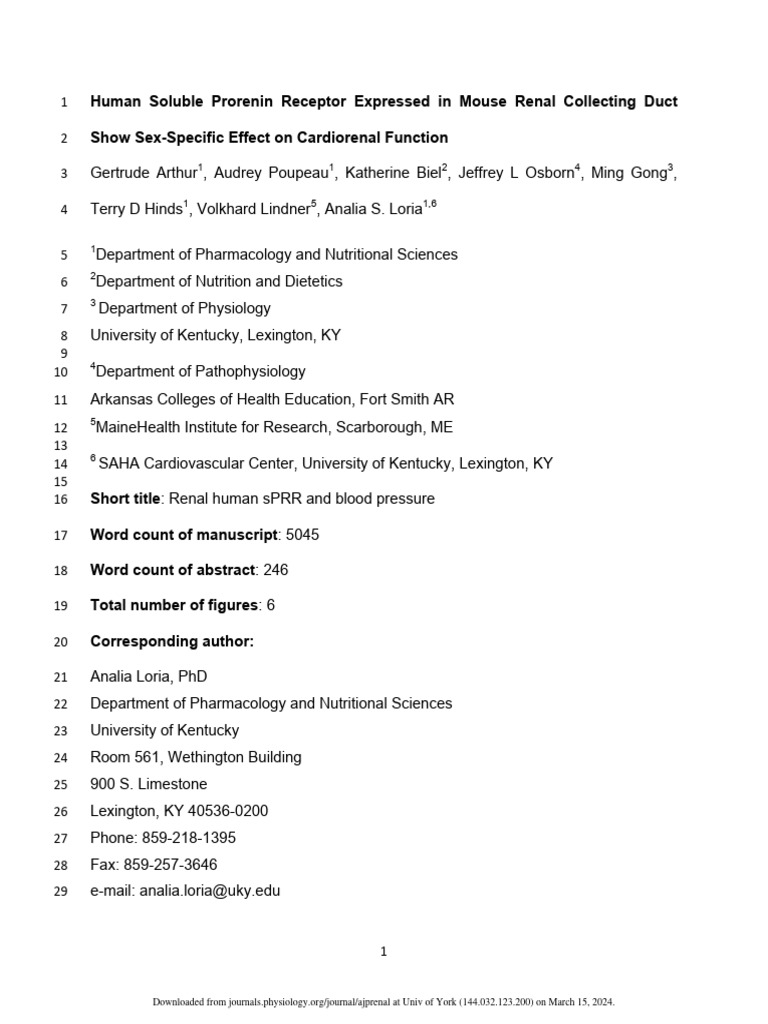 Arthur Et Al 2024 Human Soluble Prorenin Receptor Expressed in Mouse