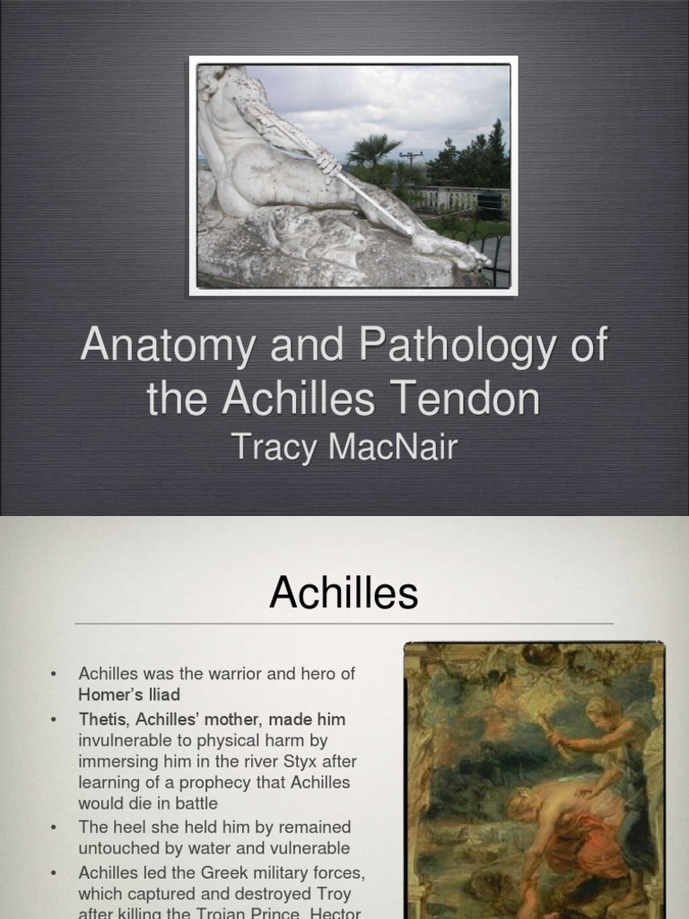 Anatomy and Pathology of the Achilles Tendon: A Comprehensive Review of ...