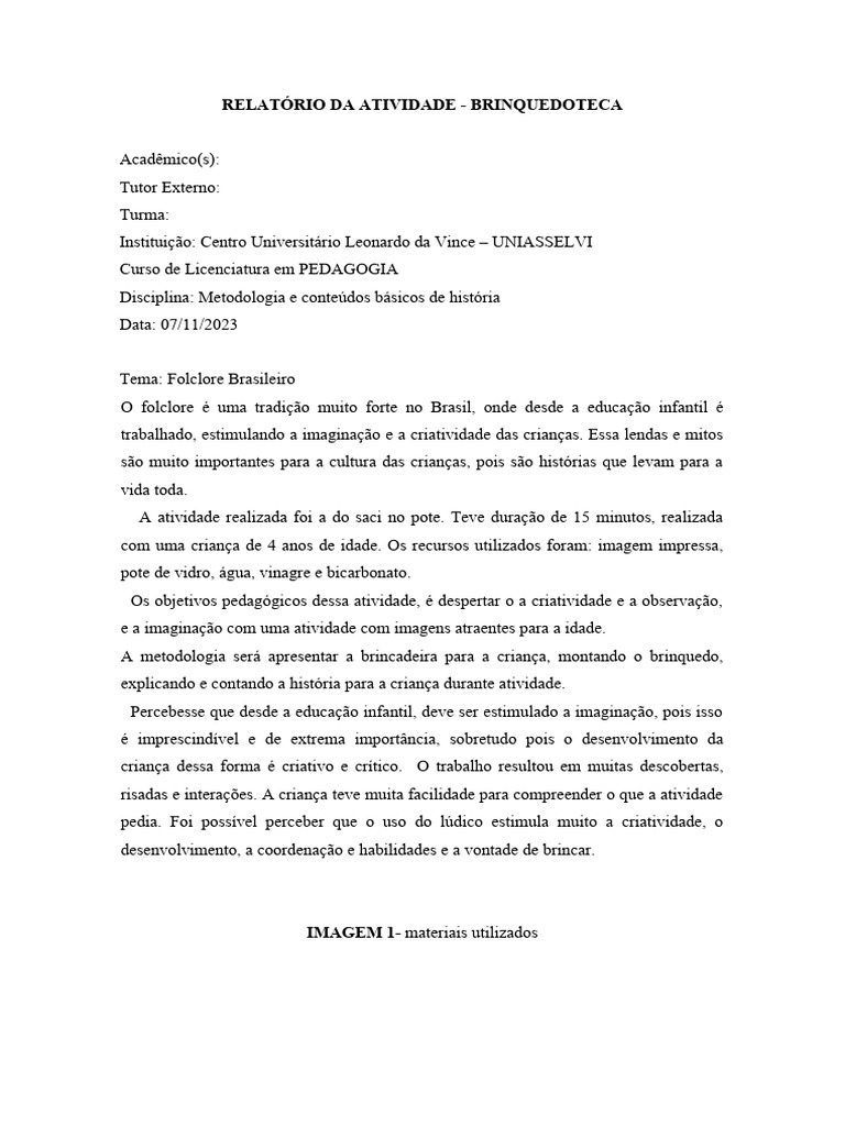 Relatório de Atividade na Brinquedoteca | PDF | Bem-estar