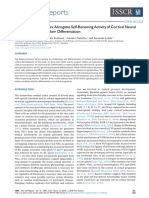 Paper Bonafina 2018 - El Complejo GDFN-GFRa1 Anula La Actividad Renovadora de Precursores de Neuronas Corticales Induciendo Su Diferenciación