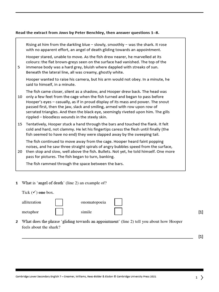 Grade 6 Revision Comprehension Worksheet For Cambridge Lower Secondary | PDF | Art for Free Printable Comprehension Worksheets Ks3