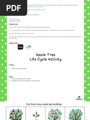 Apple Tree Life Cycle