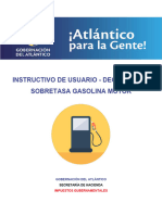 INSTRUCTIVO DE USUARIO - SOBRETASA GASOLINA MOTOR-MHCP-DAF–020–2019