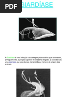 GIARDÍASE - 2011 - FANUTRI (1)