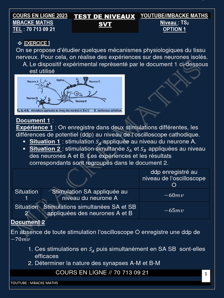 Test de Niveaux - SVT - Ts2 | PDF | Neurone | Contraction du muscle