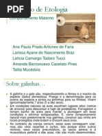 SEMINÁRIO DE ETOLOGIA