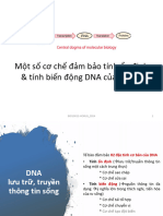 Một số cơ chế đảm bảo tính ổn định & tính biến động DNA của tế bào