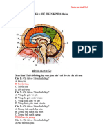8 thần kinh 138 cau