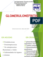 Grupo 6a Glomerulonefritis