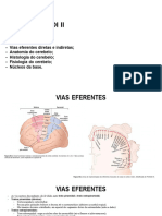 APG 06 - Vias Eferentes, Cerebelo e Núcleos Da Base
