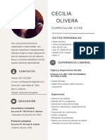 Curriculum Vitae Community Manager Rosa Minimalista