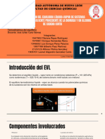 Presentación Equilibrio de Metanol-Lactato de Metilo