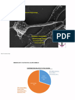 Tema 1-Introduccio A La Immunologia