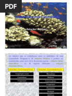 Relações Bióticas