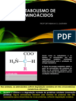 5 - 2023 - METABOLISMO DE AMINOÁCIDOSpptx - 240306 - 142046