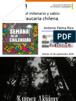 La Araucaria Chilena 15 Sep 2020
