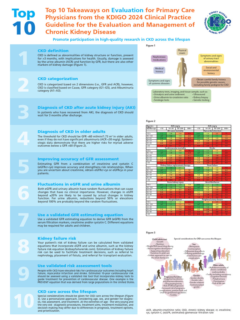 KDIGO 2024 CKD Management Guidelines | PDF | Chronic Kidney Disease ...