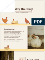 Broiler Chicken Farms