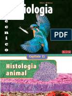Falas Histologia Animal